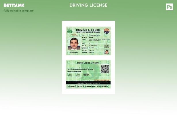 Модерен стил индиски Пенџаб возачка дозвола присутен шаблон